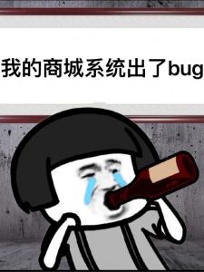 我的商城系统出了bug