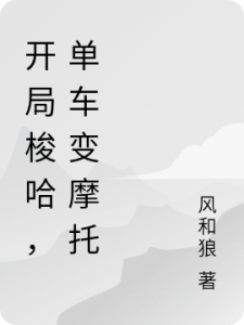 开局梭哈，单车变摩托